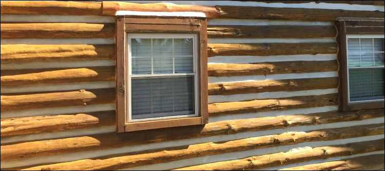 Log Home Whole Log Replacement  Turner County, Georgia