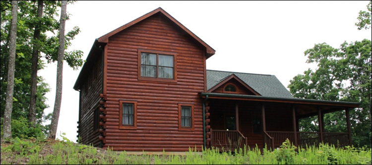 Professional Log Home Borate Application  Turner County, Georgia